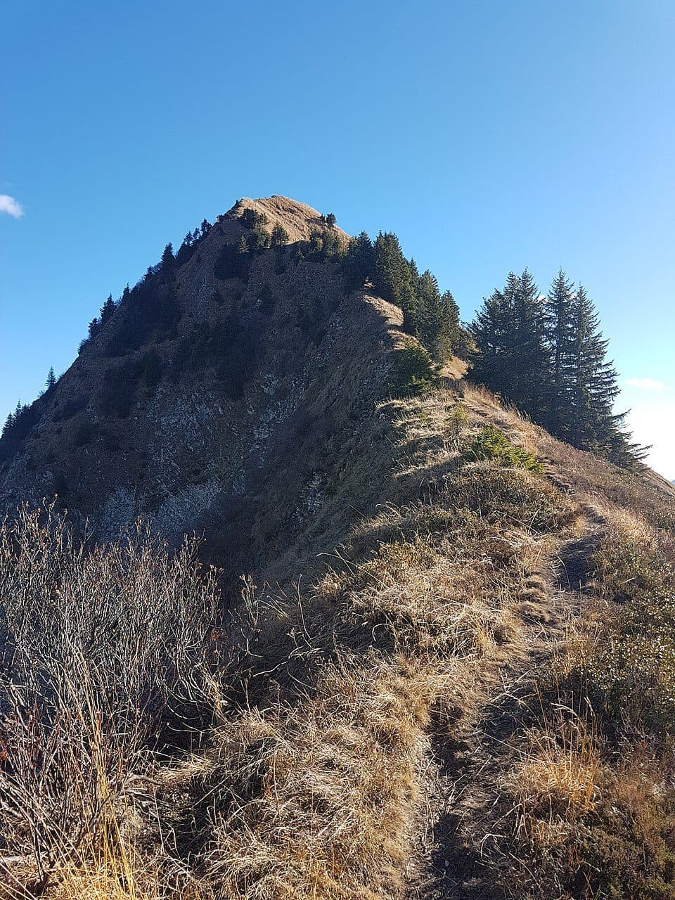 Pfrondhorn
