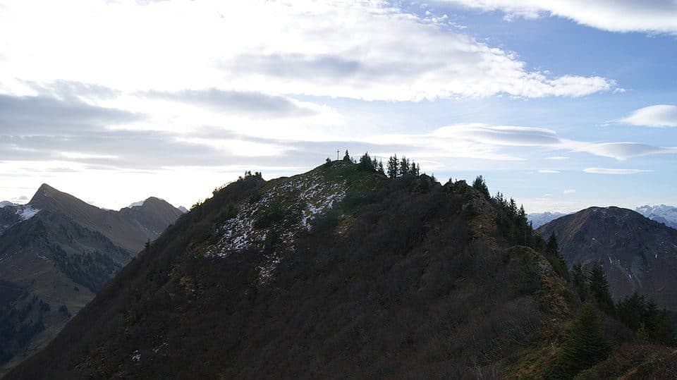 Portlakopf
