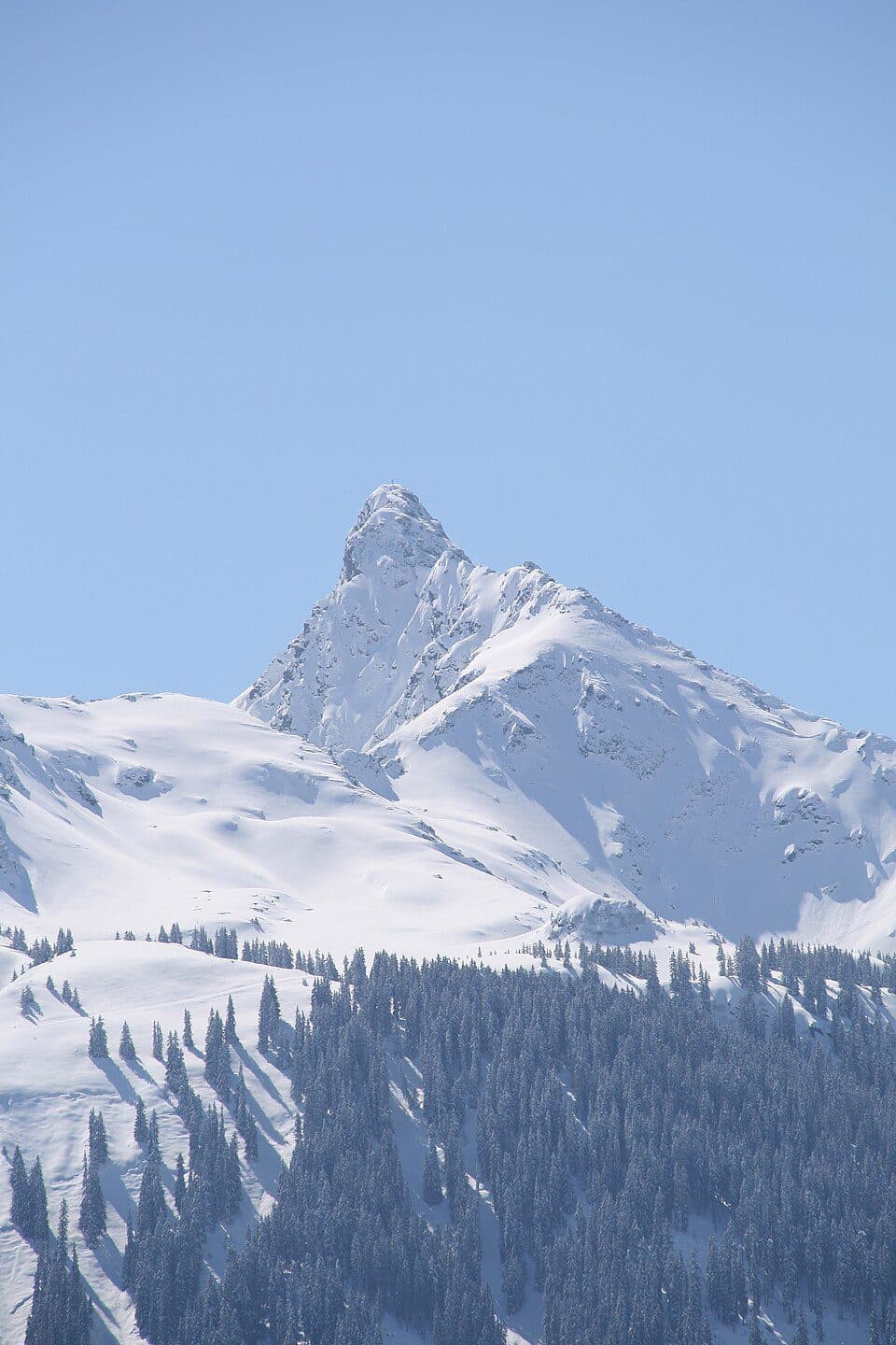 Tilisuna-Schwarzhorn