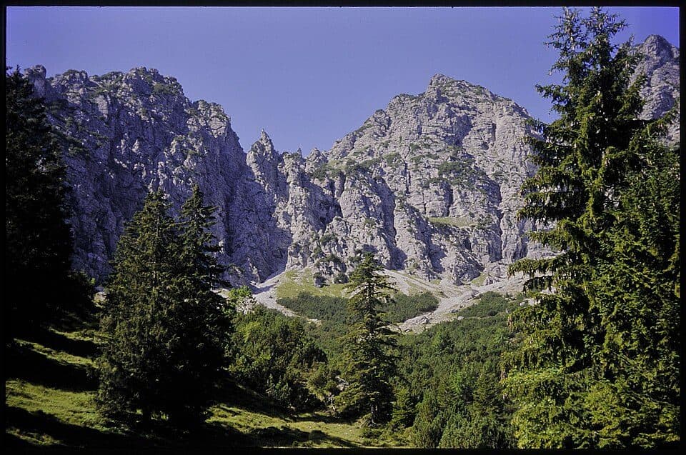 Hohe Köpfe