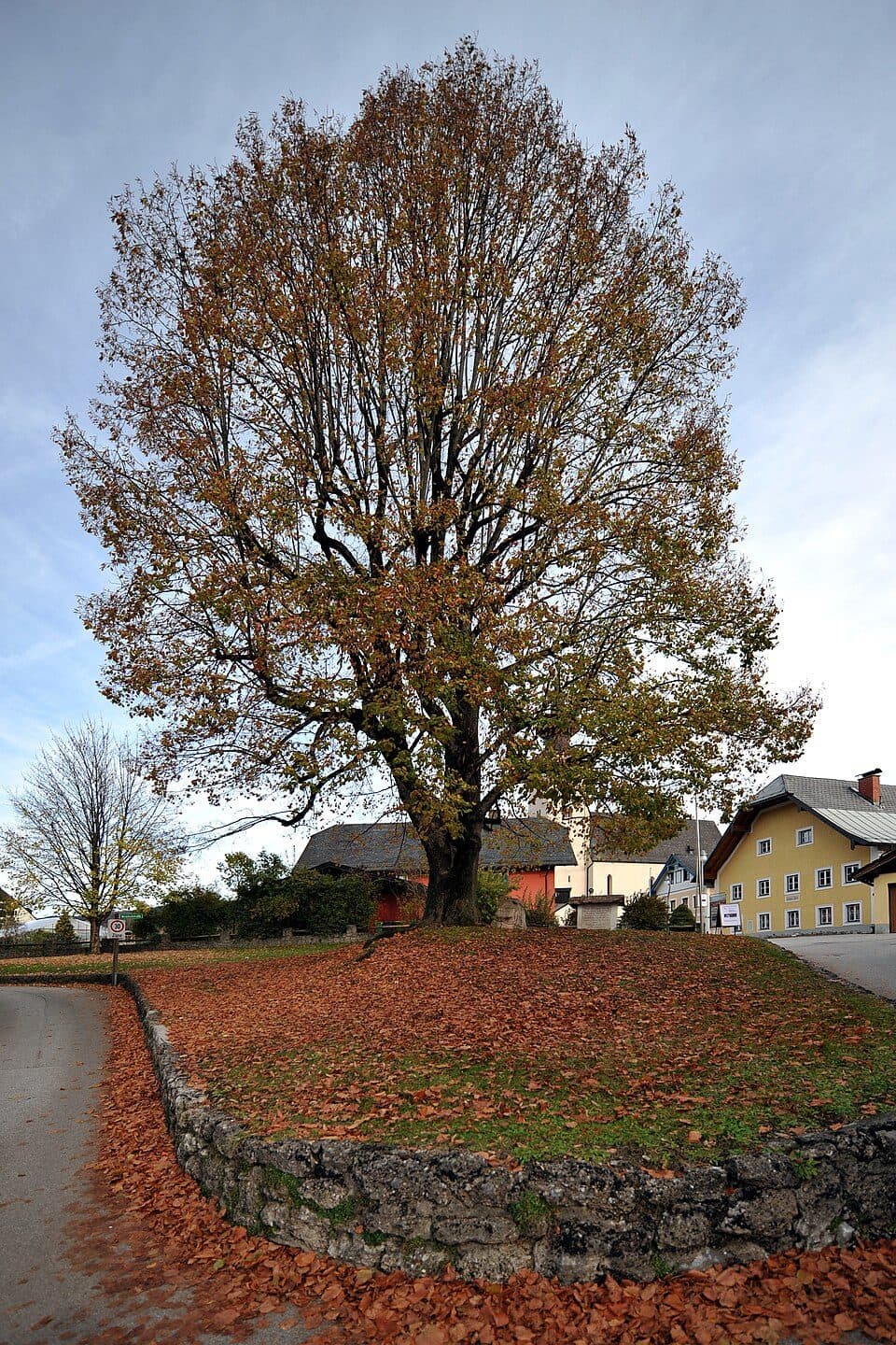 Oberalmer Thaidingtisch — Foto 3