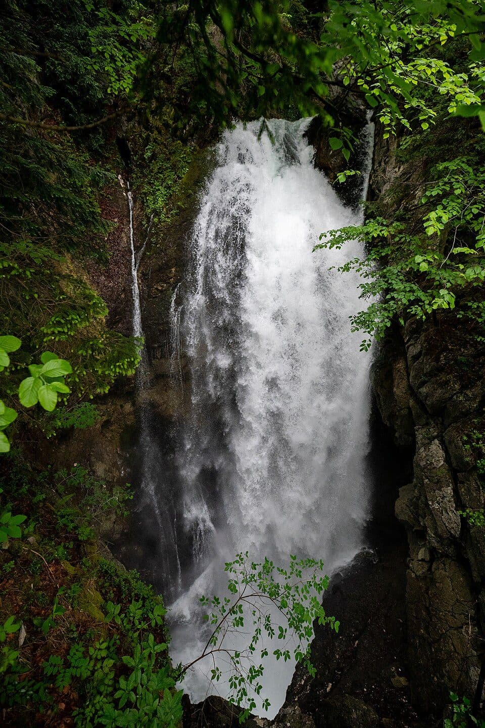Gollinger Wasserfall — Foto 3