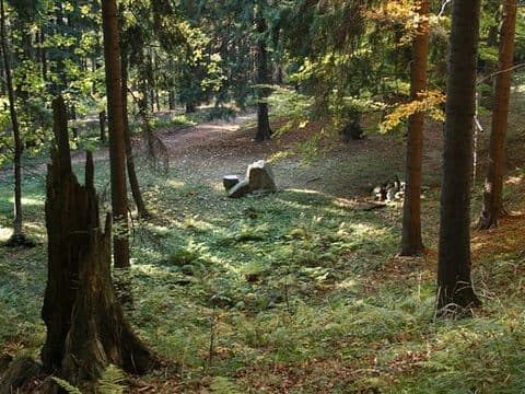 Szlak do Leśnego Kościoła