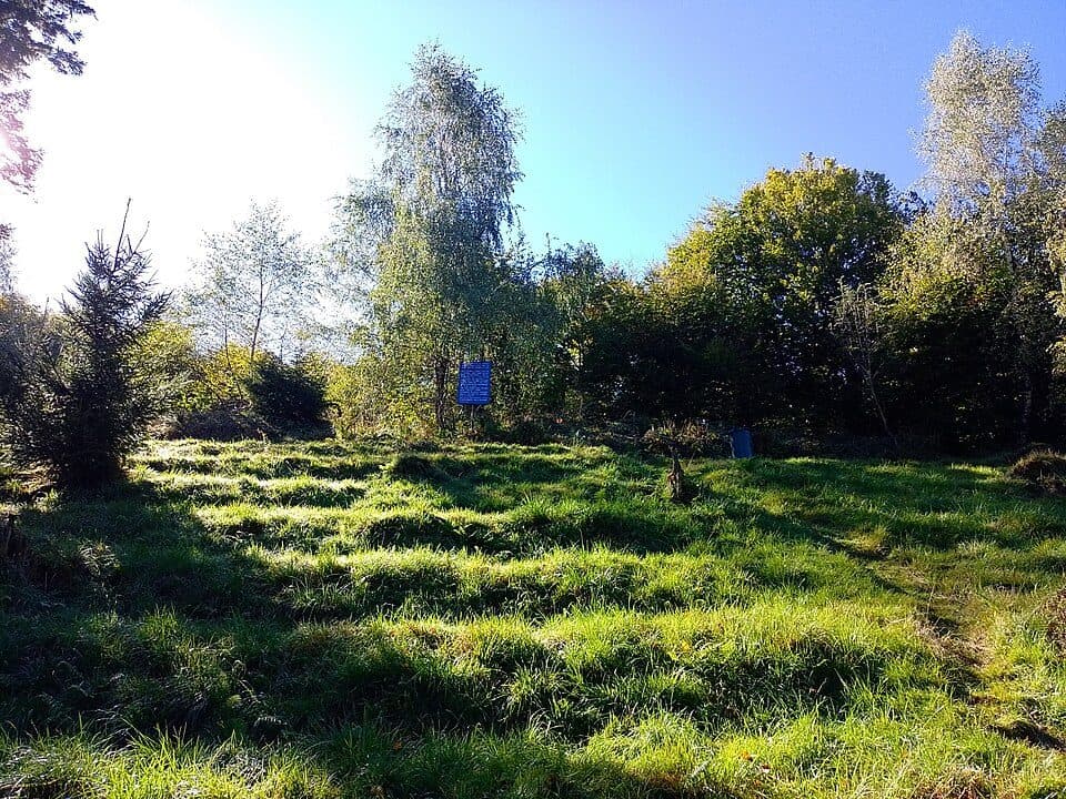 Szlak Drwali oraz Pstrąga Górskiego