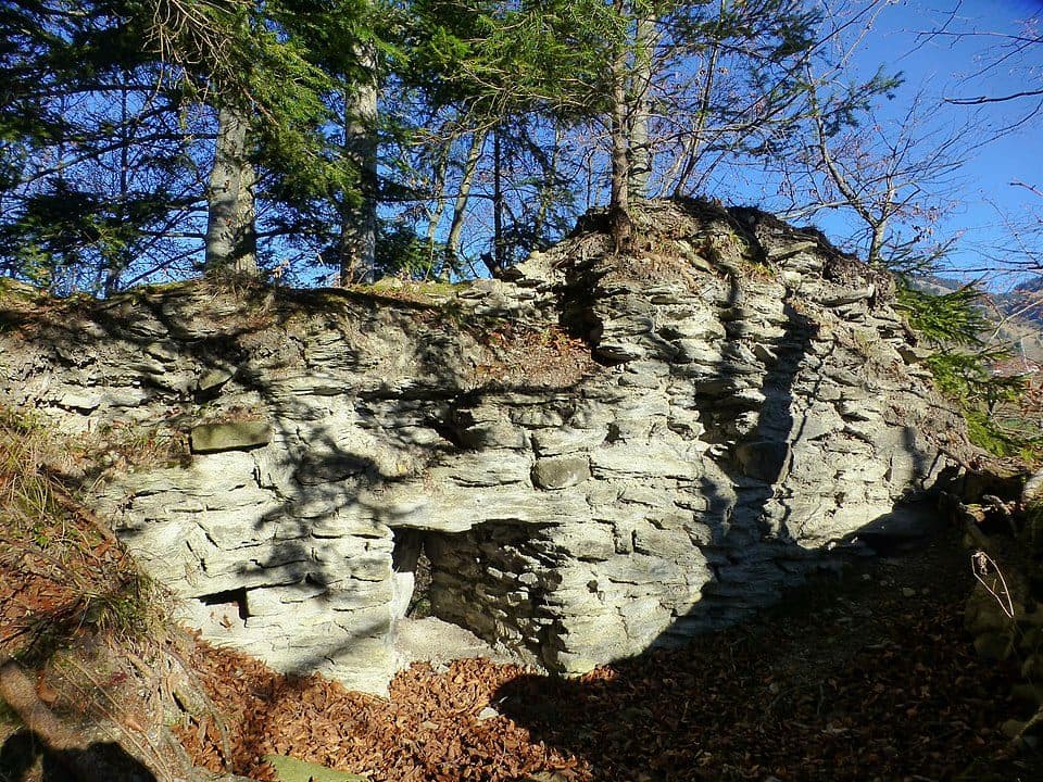 Burgruine Alt-Montfort — fotografie 3