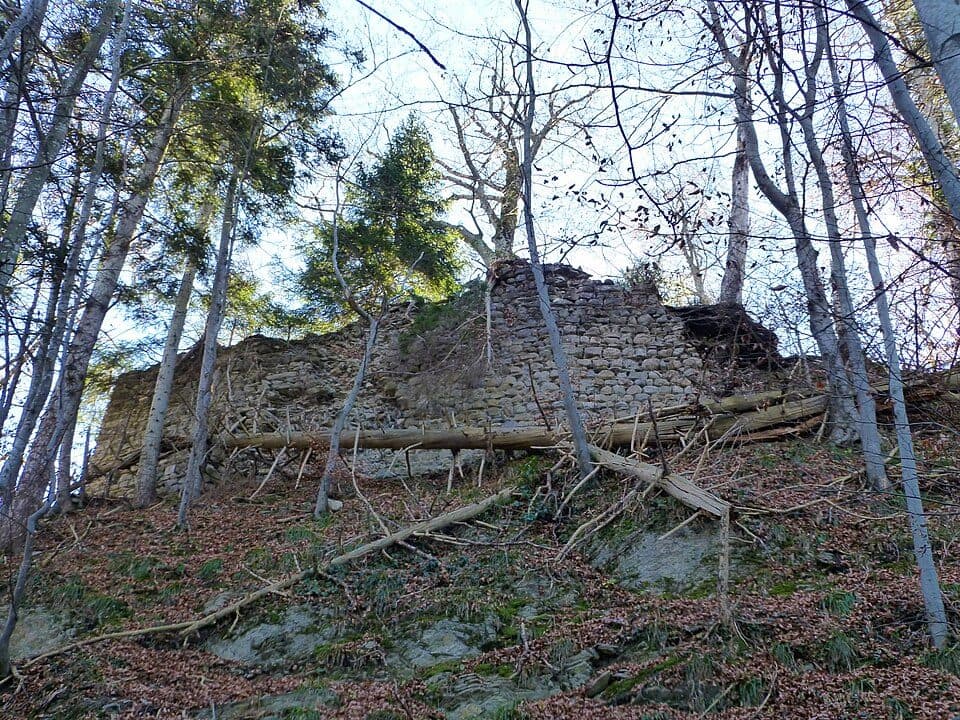 Burgruine Alt-Montfort — fotografie 2