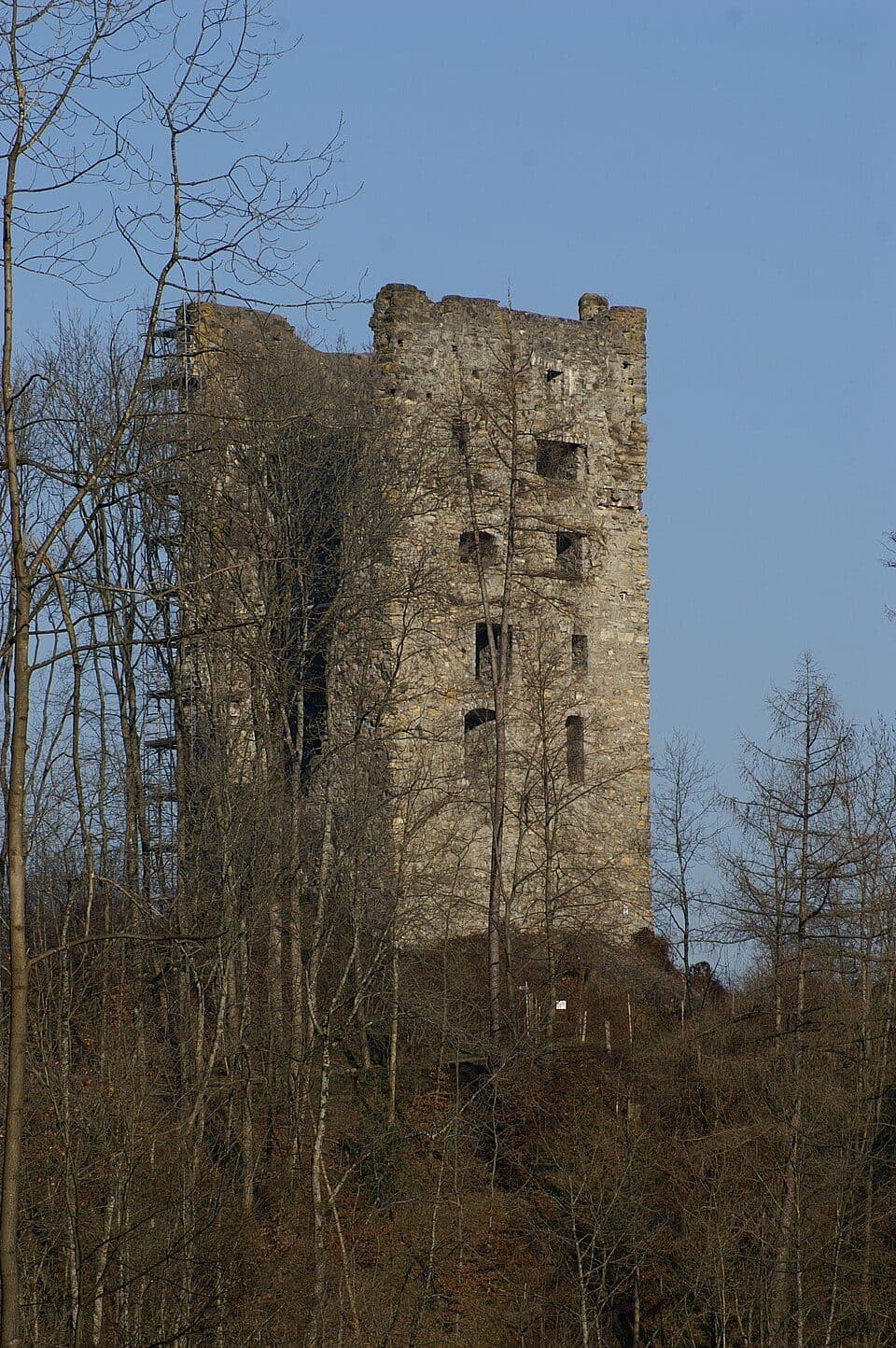 Burg Neu-Montfort