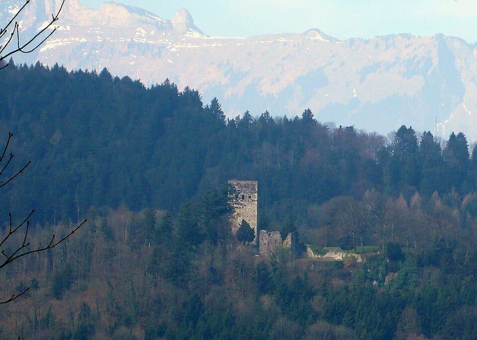 Ruine Tosters — zdjęcie 2