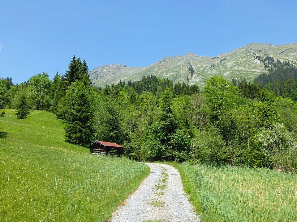 Naturschutzgebiet Auer Ried — 2. fotó