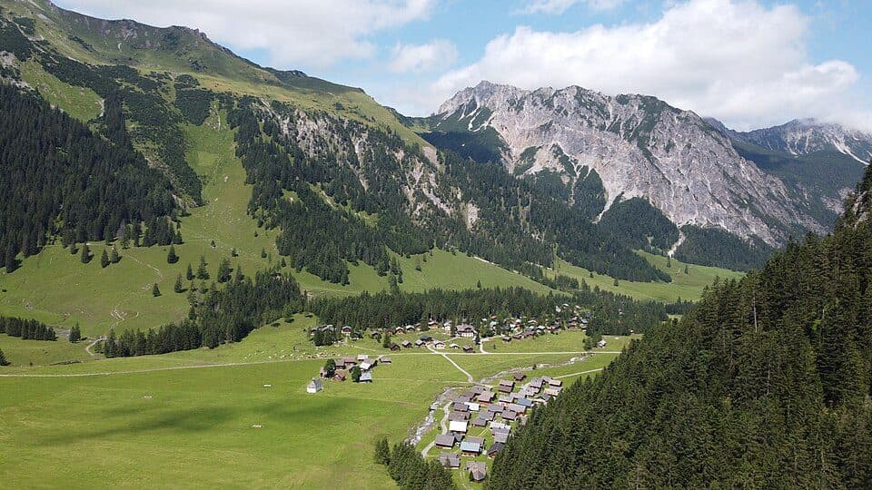 Alpenmannstreu Gamperdonatal