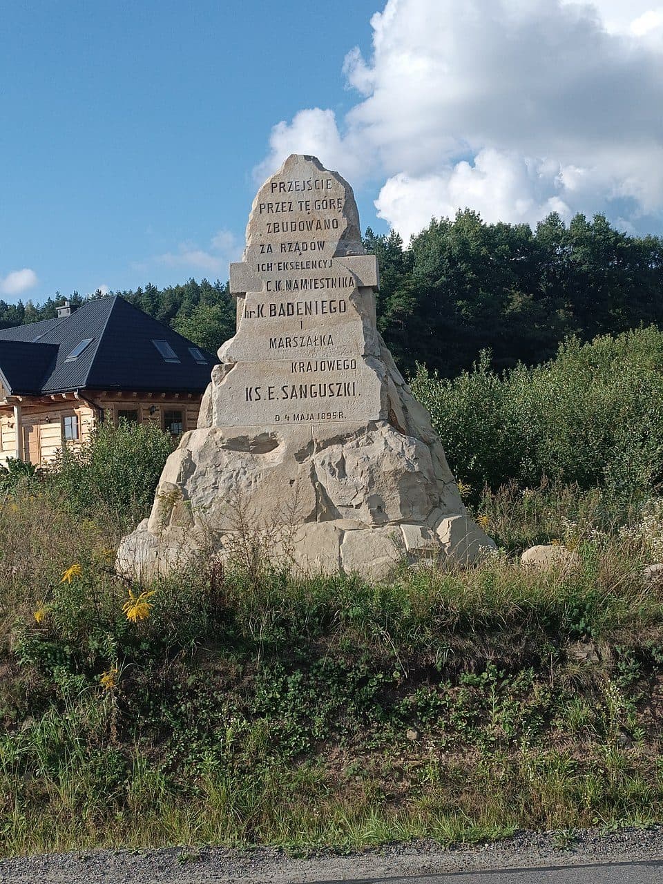 Cisy Raciborowskiego