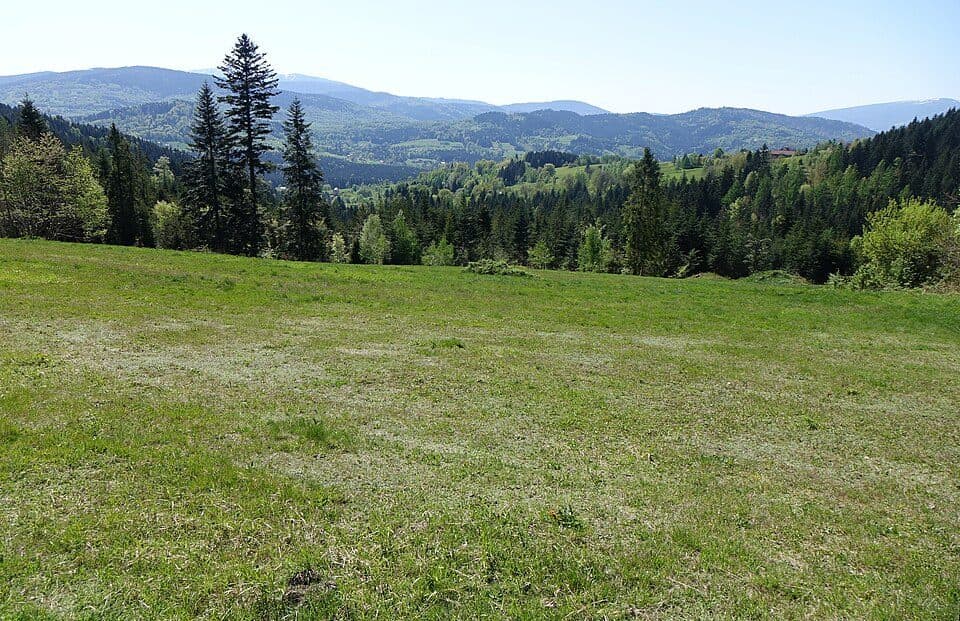 Ubocz — photo 3