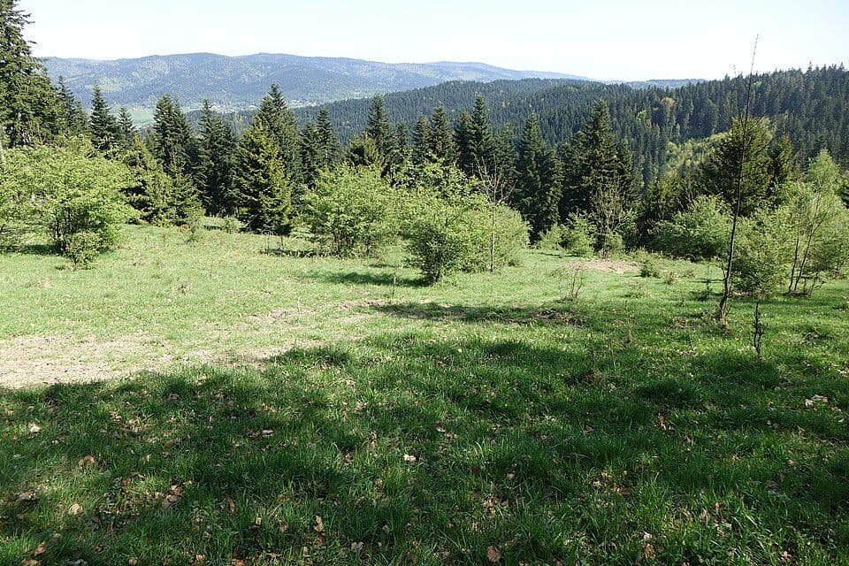 Hucisko - Łamana Skała