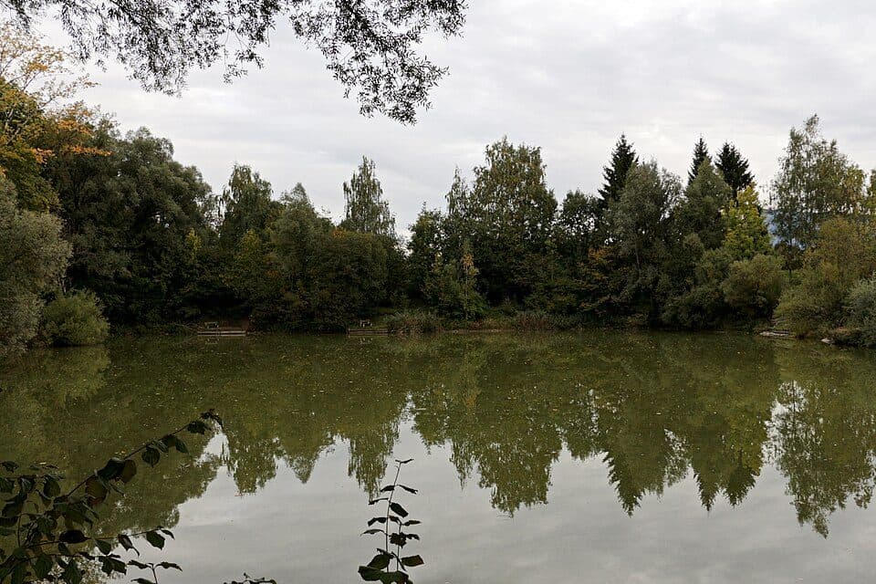 Salzachsee — zdjęcie 2