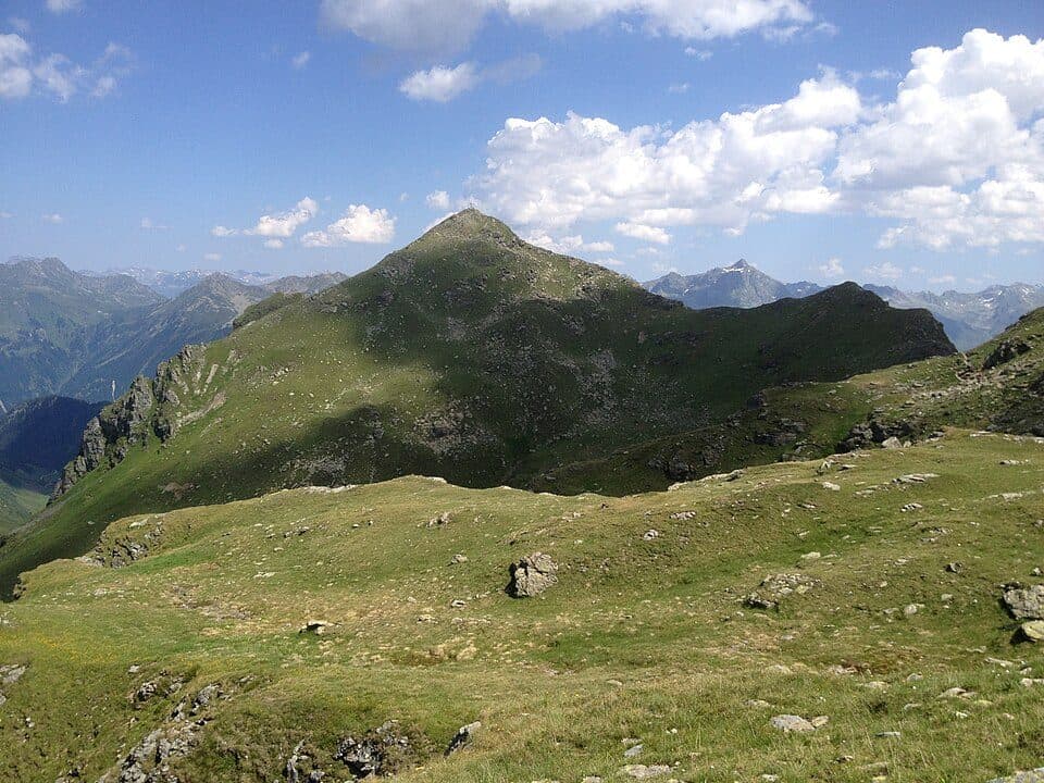 Madrisella