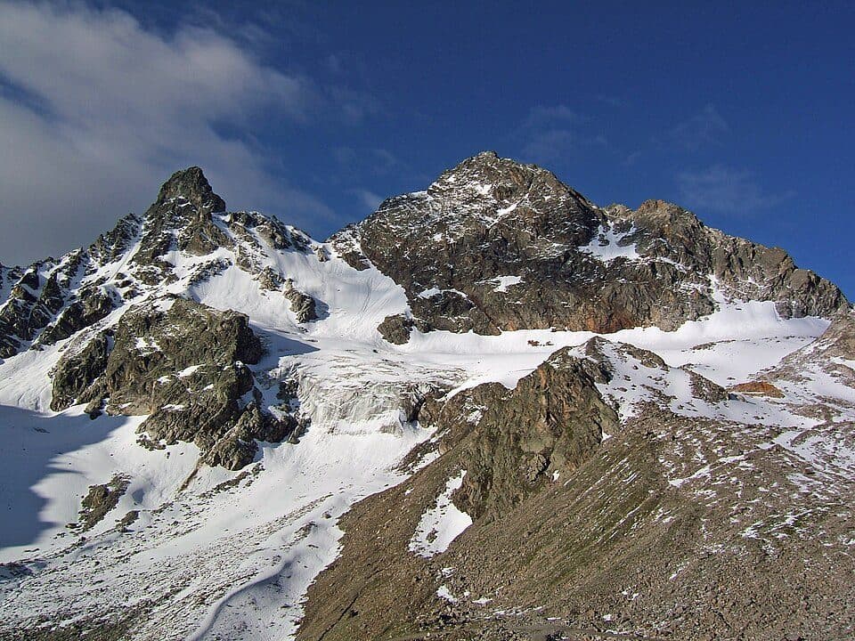Großes Seehorn — fotografie 2