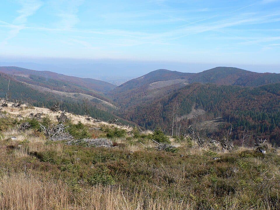 Morońka