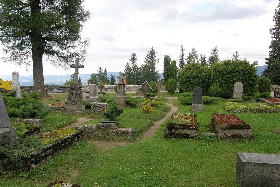 Karpacz - Słonecznik