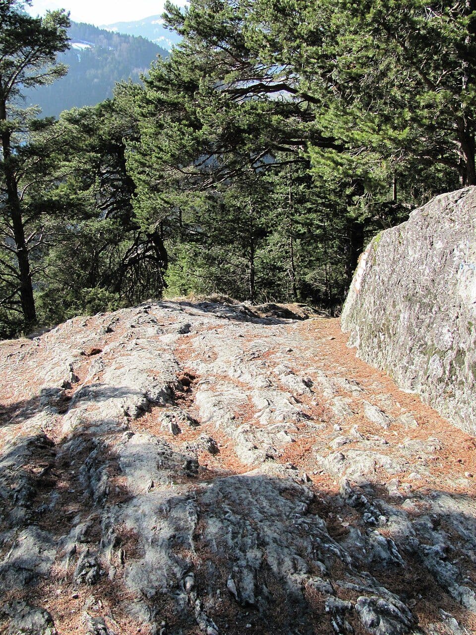 Oberes Gericht — Foto 2