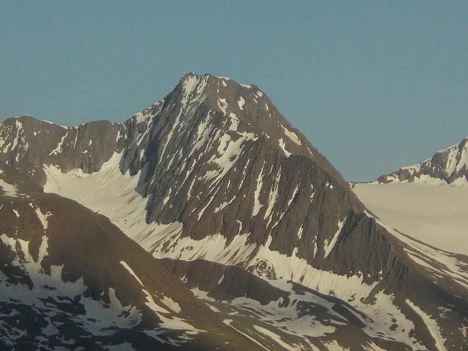 Firmisanschneide — photo 3