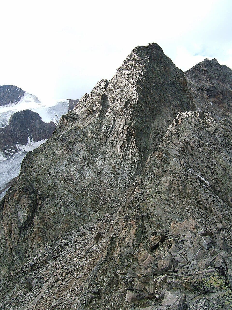 Hintergraslspitzen — fotografie 3