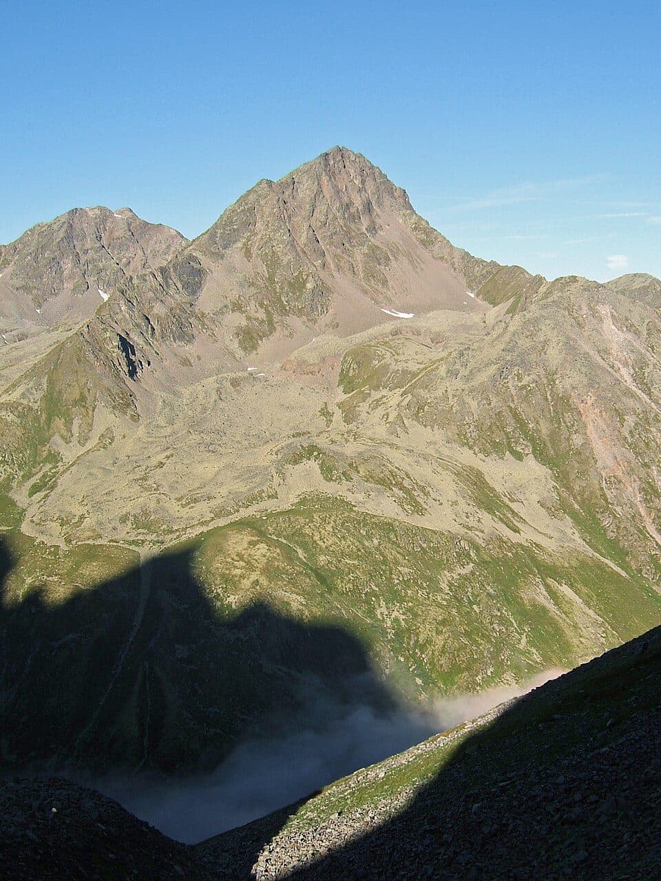 Wildnörderer