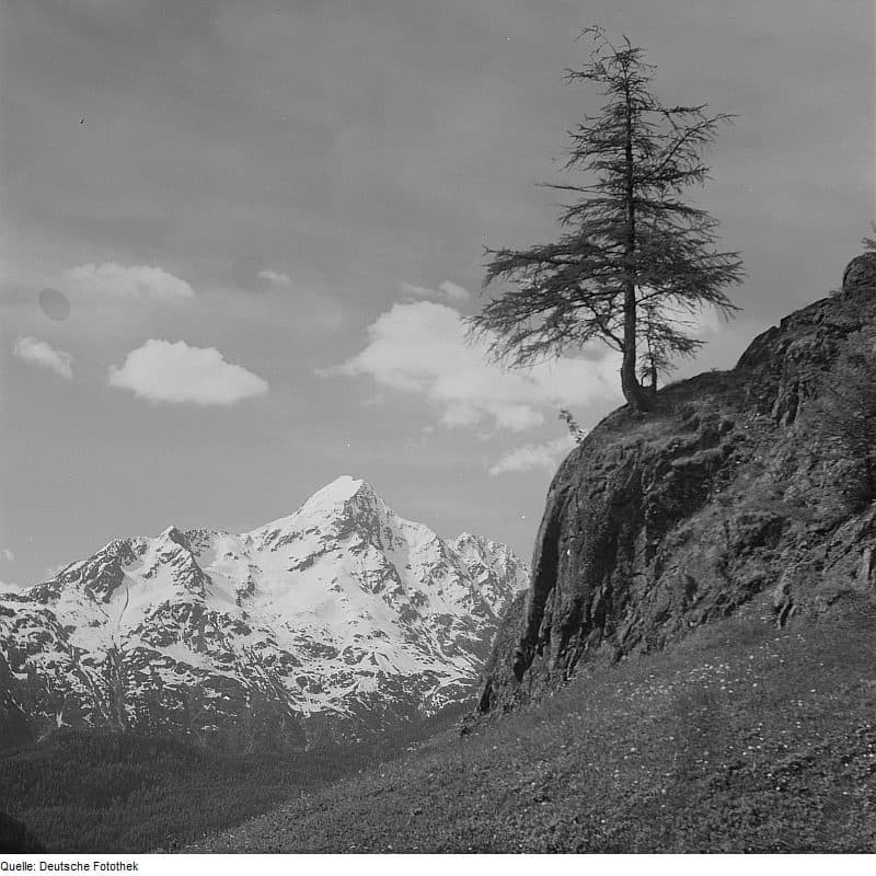Nederkogel — Foto 3