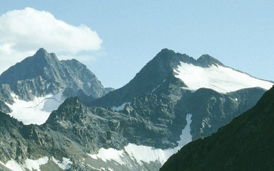 Kuhscheibe