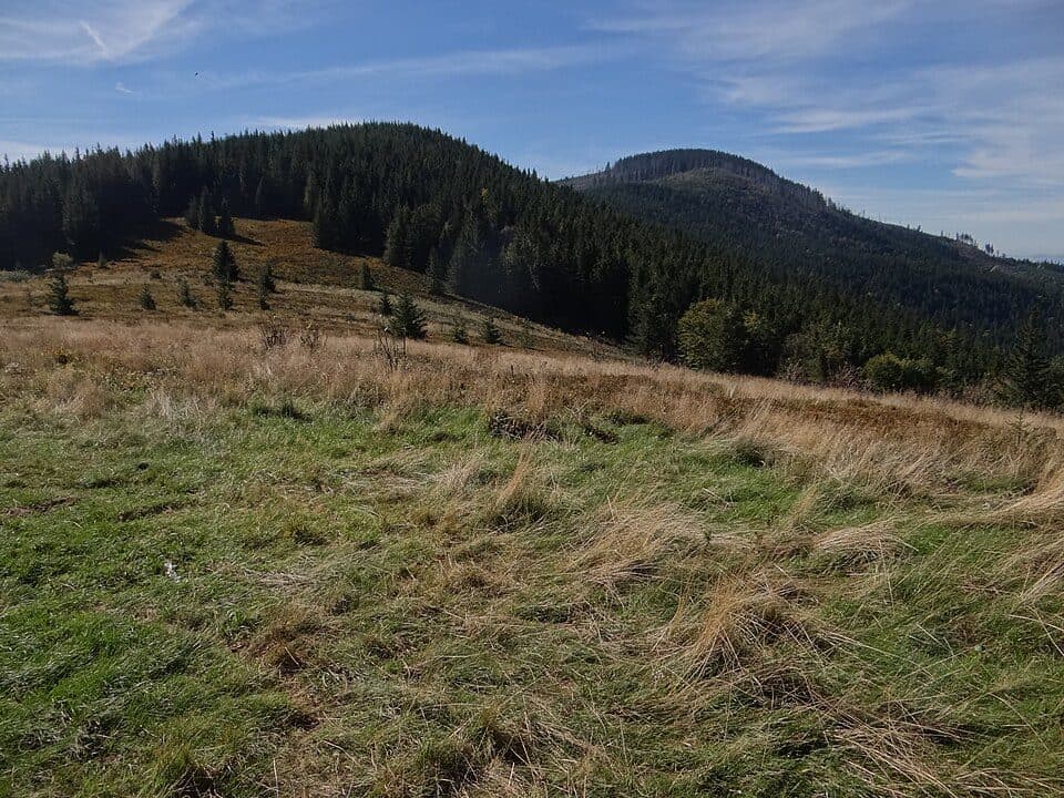 Skawica - Przełęcz Kucałowa