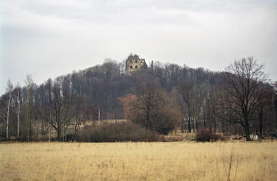 Gryf-vár — 2. fotó