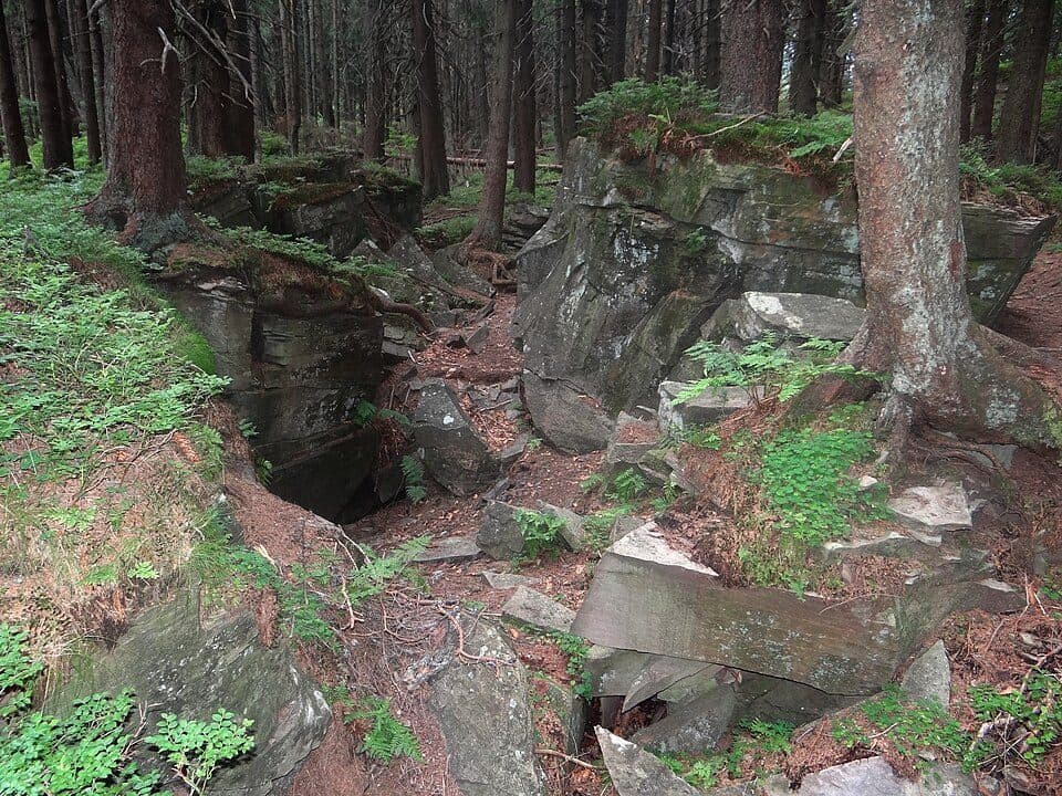 Przełęcz Przysłopy - Uszczawne