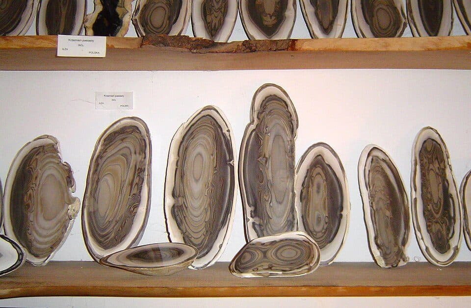 Muzeum Ziemi Geologiczne — fotografie 3