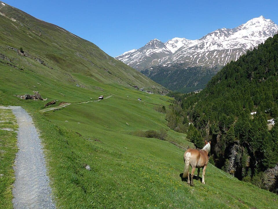 Rofenhöfe#Das Rofental — Foto 3