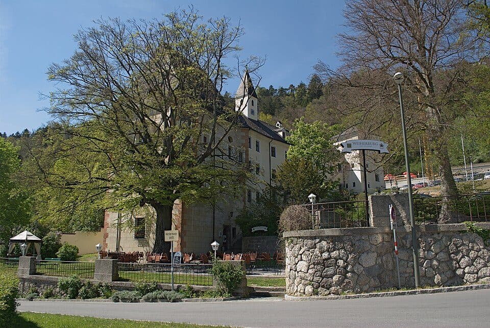 Rosnerweg-Run