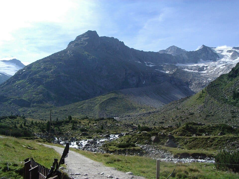 Alpenrose — zdjęcie 2