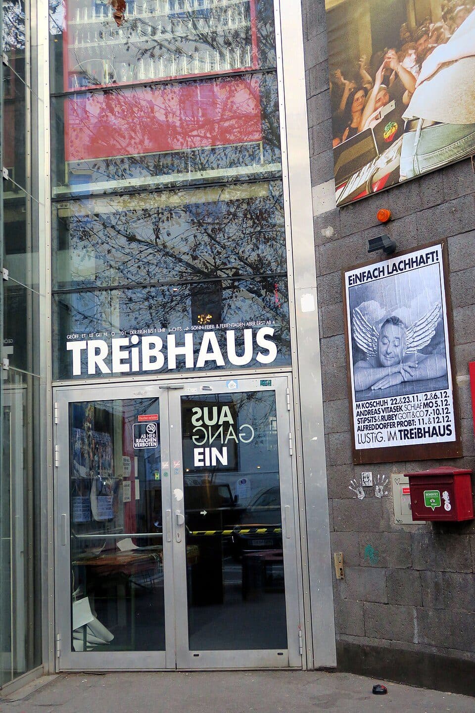 Treibhaus — фото 2