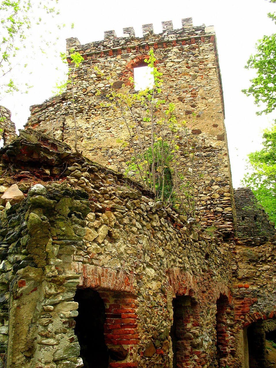 Castelul din Lipa — fotografie 3