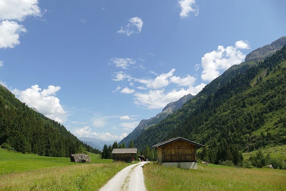 Laponesalm
