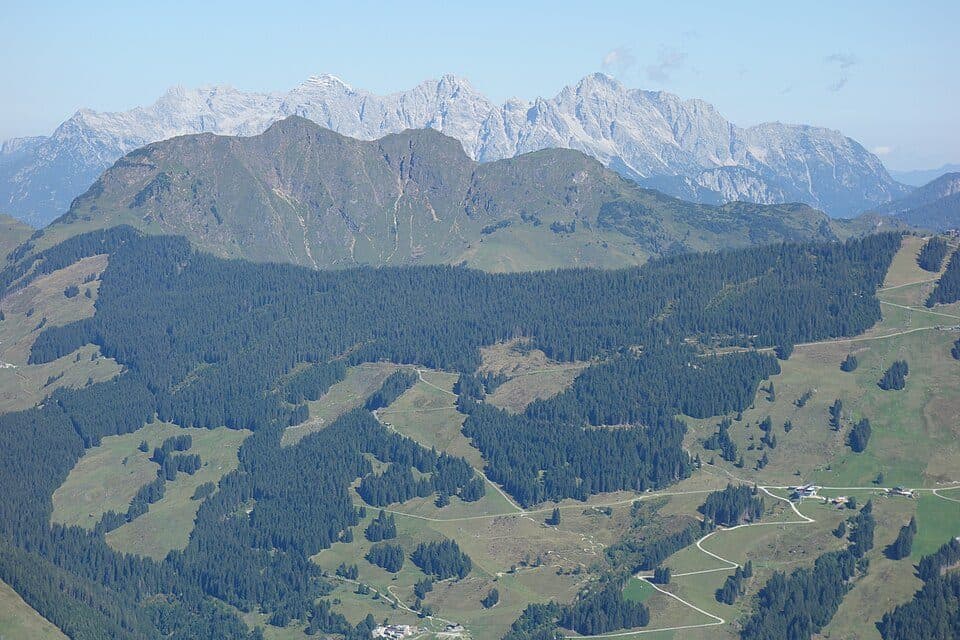 Spielberghorn