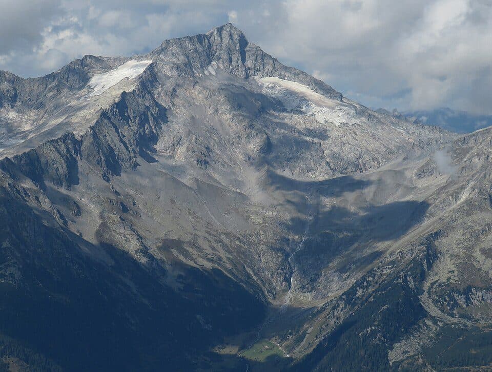 Großer Löffler