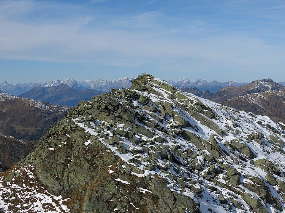 Westliche Salzachgeier — zdjęcie 2