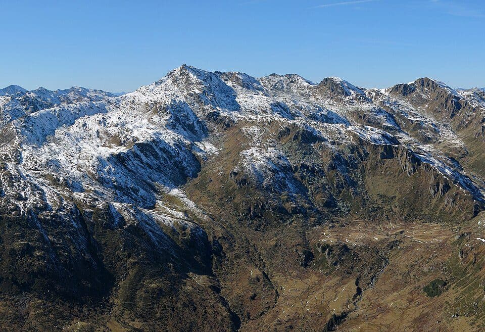Westliche Salzachgeier