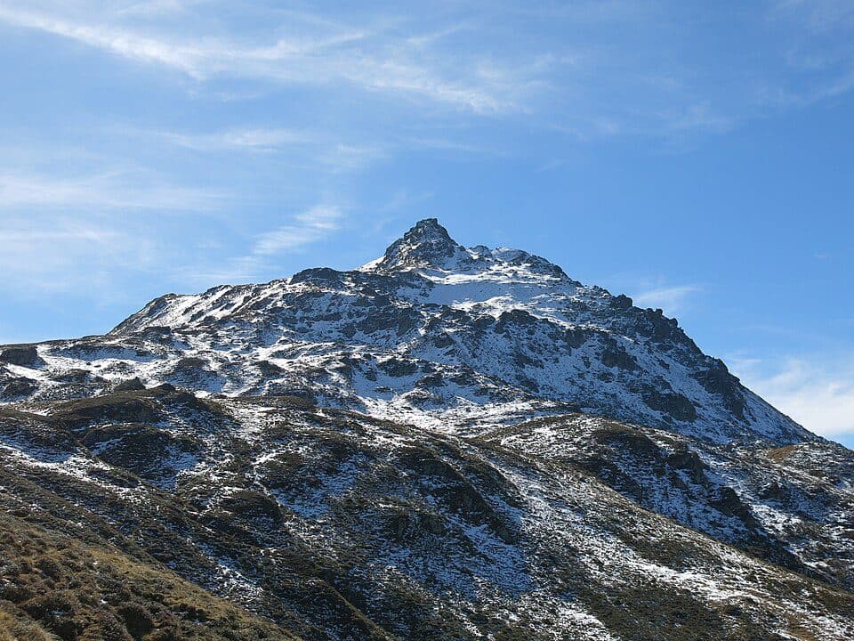 Dristkopf