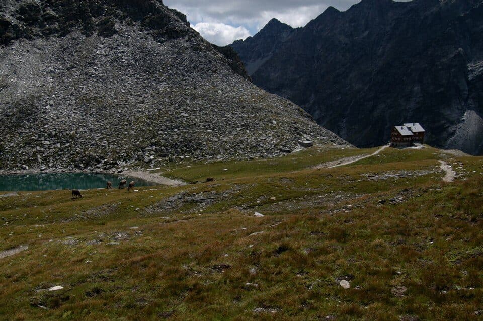 Neue Reichenberger Hütte — zdjęcie 3