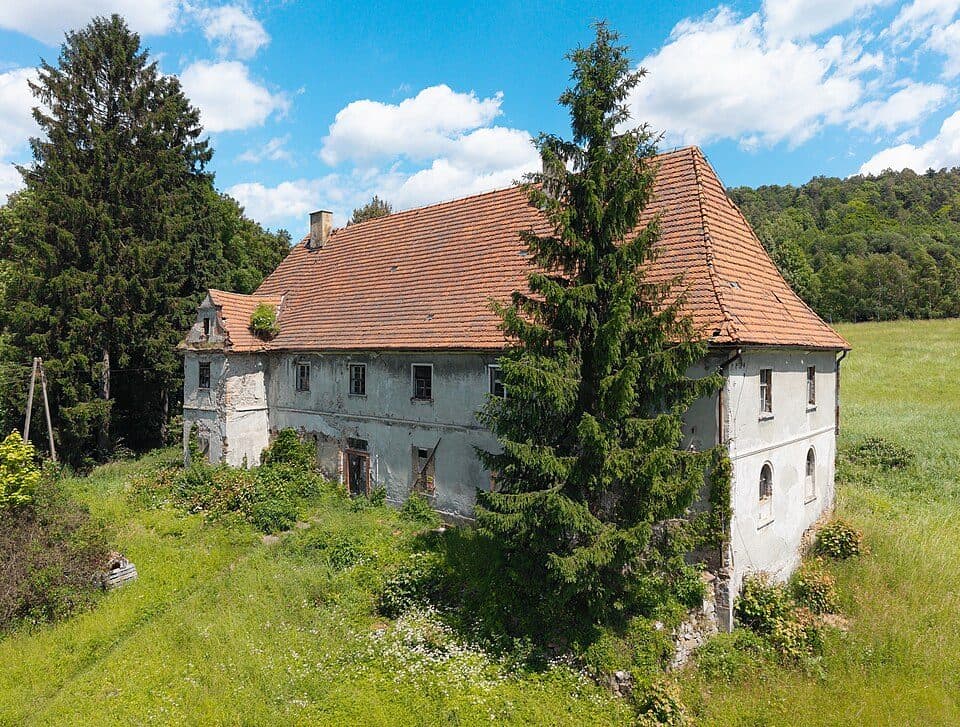 Dzikowiec
