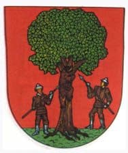 Rokytnice v Orlických horách — zdjęcie 2