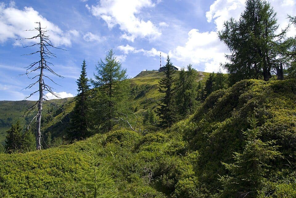 Goldeck (szczyt)
