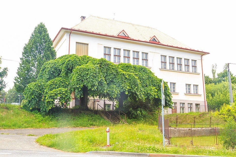 Kudowa Zdrój - Kulin