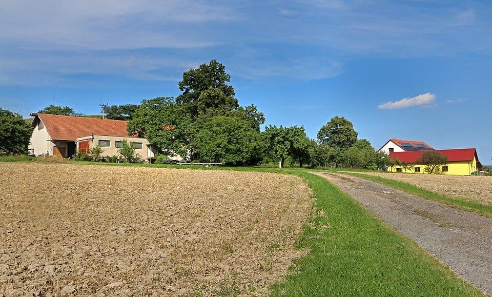 Spáleniště