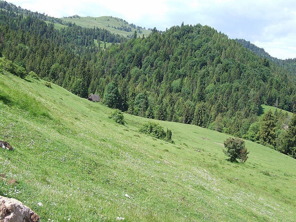 Krupianka (Pieniny)
